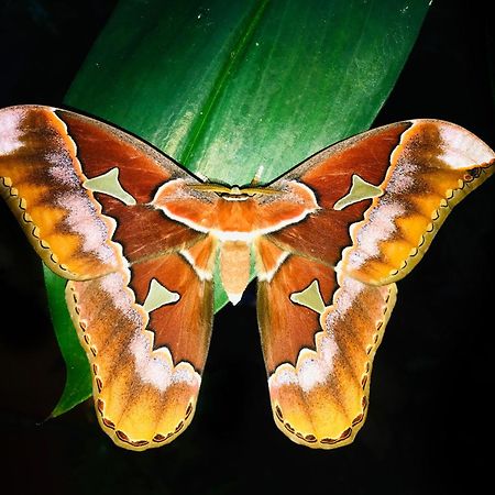 Las Arrieras Nature Reserve And Ecolodge Horquetas エクステリア 写真